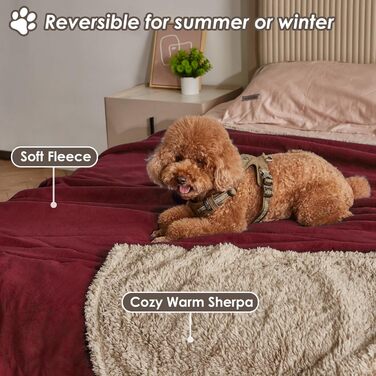 Водонепроникний плед для собак і котів, миючий, 150 x 120 см (L 203 x 152 см), бордовий/Туапе