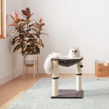 Amazon Basics Cat Scratching Post with House, Hammock, Bed, and Scratching Post, 41 x 51 x 41 cm, gray