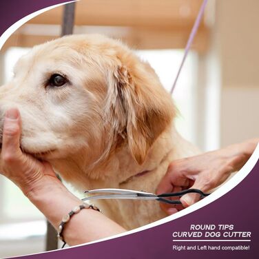 Ножиці для собак Dream Reach 6,5 дюйма, професійні, з нержавіючої сталі 440C, вигнуті, у подарунковій коробці