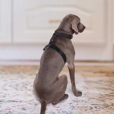 Нашийник для собак FeimaX великих порід, тактичний, зручний, чорний (L)