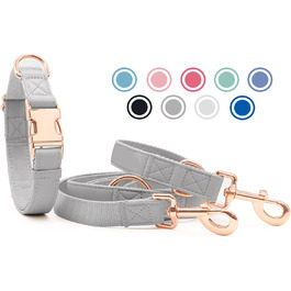 Набір собачий: повід та нашийник з м'якої шкіри (2м) - регульований повід, стильна рожева металева застібка та нейлонові повідки для цуценят, собак маленьких, середніх та великих порід, сірий колір, S (обхват шиї 31-43 см, ширина 2 см), сірий