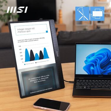 Портативний монітор MSI PRO MP161 E2U 15.6