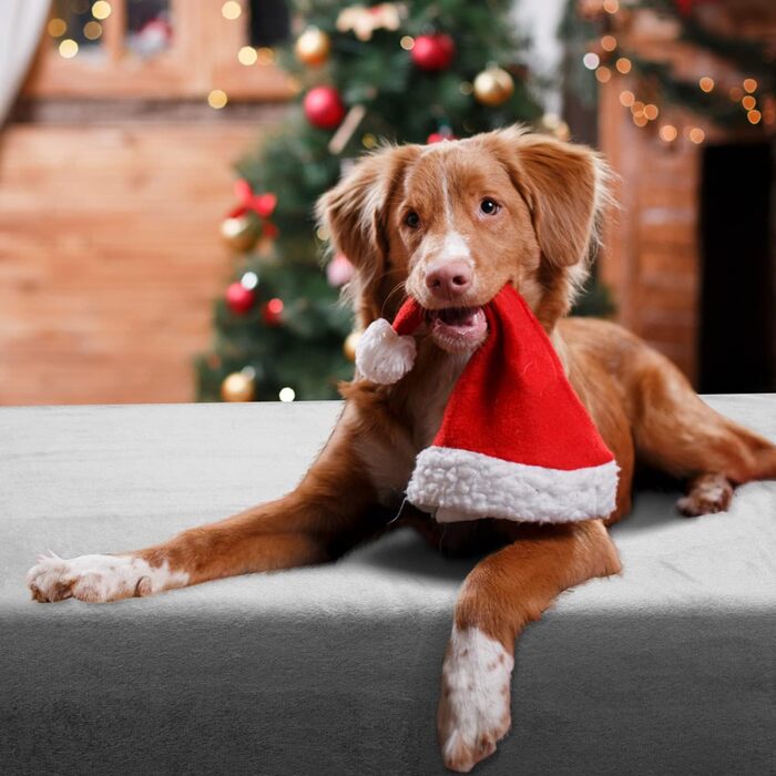 М'яка флісова ковдра для собак Nobleza, 160x100 см, сіра