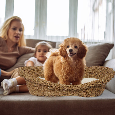 Relaxdays Pet Bed for Dogs and Cats