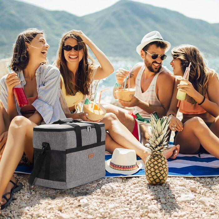 Термосумка LifeWit 40L для перевезення їжі (Вишневий колір)