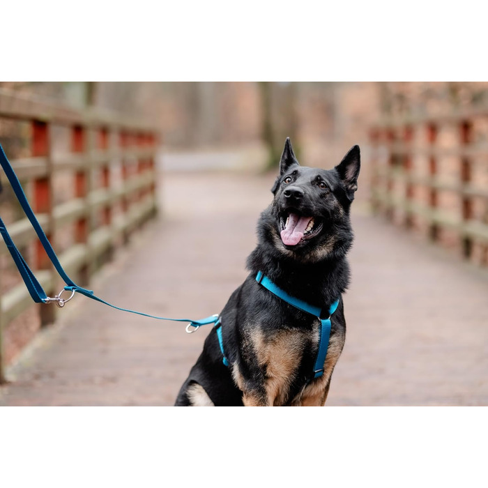 Шлейка для собак Chaba Guard середнього розміру, контрольована, протисмикова, регульована, комфортна та легка, класична Step-in, для прогулянок, розмір L, колір Морський