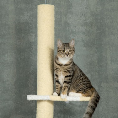 PawHut Драбина для котів, котячий кігтеточильний комплекс, висота до стелі, 220-260 см, кліматичний комплекс з іграшковим м'ячем, котячий будиночок регульованої висоти, ігровий комплекс з захистом від перекидання, плюш, жовтий | Aosom