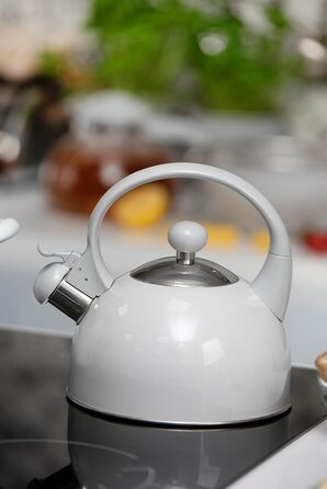 Чайник електричний з нержавіючої сталі Galicja Molly, 1.7л, зелений (сірий), для плити/індукції