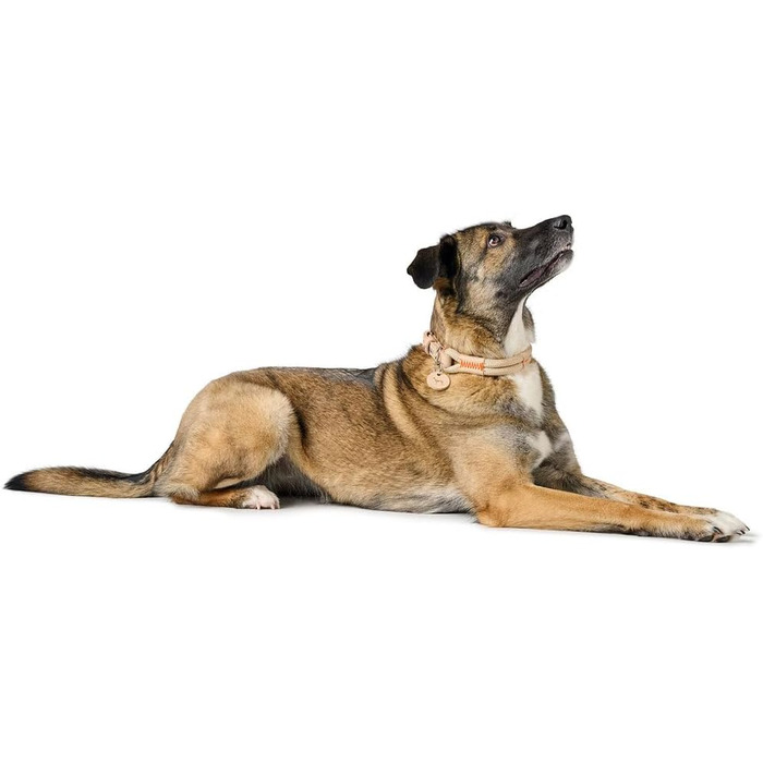 Нашийник для собак HUNTER Malia, бордово-коричневий, з м'якого шнура та міцної шкіри, легкий, зносостійкий, сучасний та елегантний дизайн, яскраві кольори, Made in Germany, розмір 45, бордово-коричневий