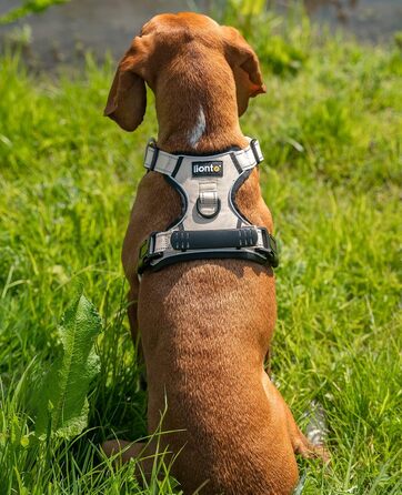 Нашийник для собак Lionto, м'який нейлон, розмір S, анти-тяга, 2 кільця, 4 регульовані ремінці, 2 застібки, гумовий хват, бежевий