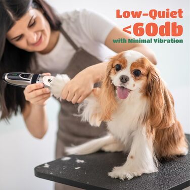 Професійна машинка для стрижки собак Nobleza Leise - набір для грумінгу, акумуляторна, 2 швидкості, для густого, довгого та кучерявого хутра, подарунковий набір (щітка, ножиці)