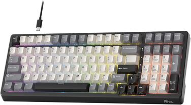 Ігрова механічна клавіатура Royal Kludge RK100 з RGB-підсвічуванням, 100 клавіш, QWERTY, Hot-Swap, USB, підтримка AI