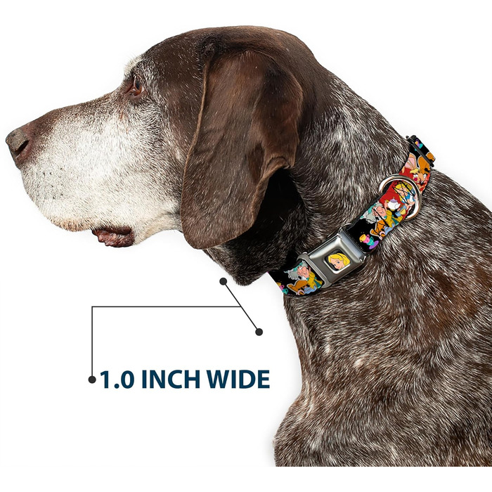 Нашийник для собак Buckle-Down Alice in Wonderland - 2.5 см, розмір 22-38 см