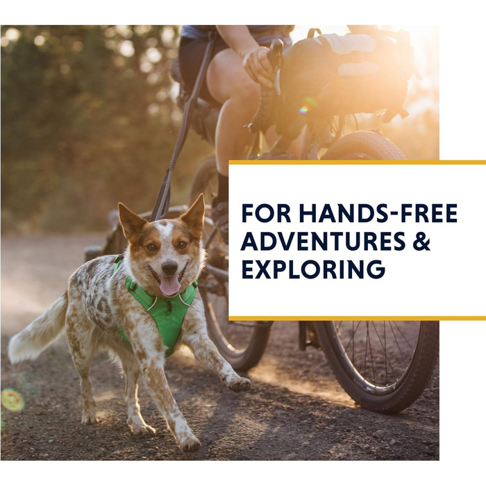 Leine Ruffwear Roamer для бігу, велосипеда та піших прогулянок, сірий граніт, великий розмір (7.3-11ft)