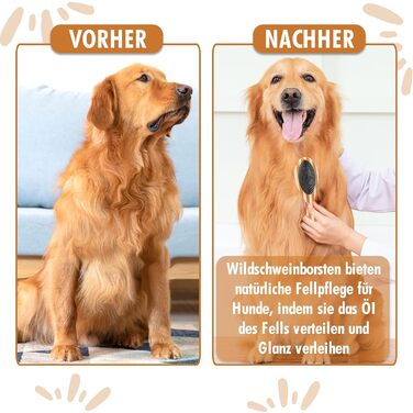 Бурштук для собак та котів 2-в-1: розчісування та вичісування | Для середньої та довгої шерсті | Гребінець для підшерстка | + Безкоштовний електронний посібник з догляду