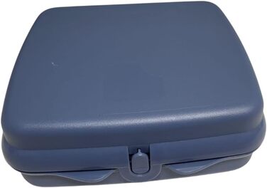 Tupperware Sandwich Box Storage Container Lunchbox Square with Hinge and Latch and Designs (blue)