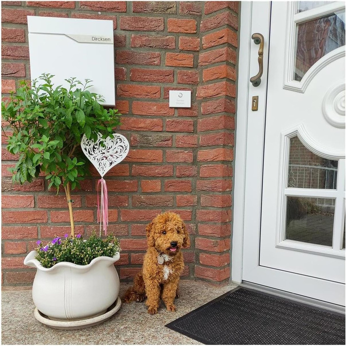 Поштова скринька Metzler антрацит з газетницею та табличкою для імені, RAL 7016, вулична, стійка до корозії, для настінного монтажу, сучасний дизайн 37x37x10.5 см