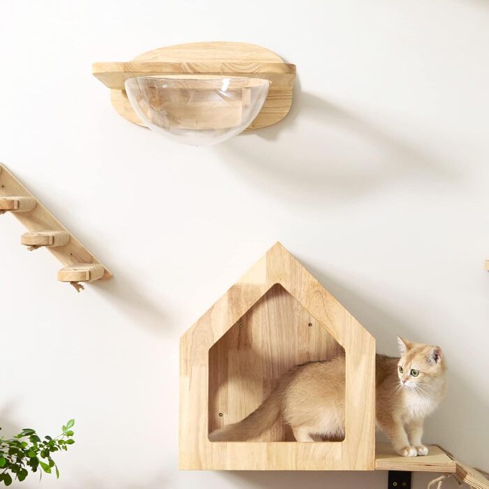 Climbing Wall for Cats, Transparent Room Capsule with 2 Pedals as a Cat Wall Furniture Set, made of Solid Rubberwood, High-Quality Cat Bed for Sleeping, Playing, and Climbing - Supports up to 16KG