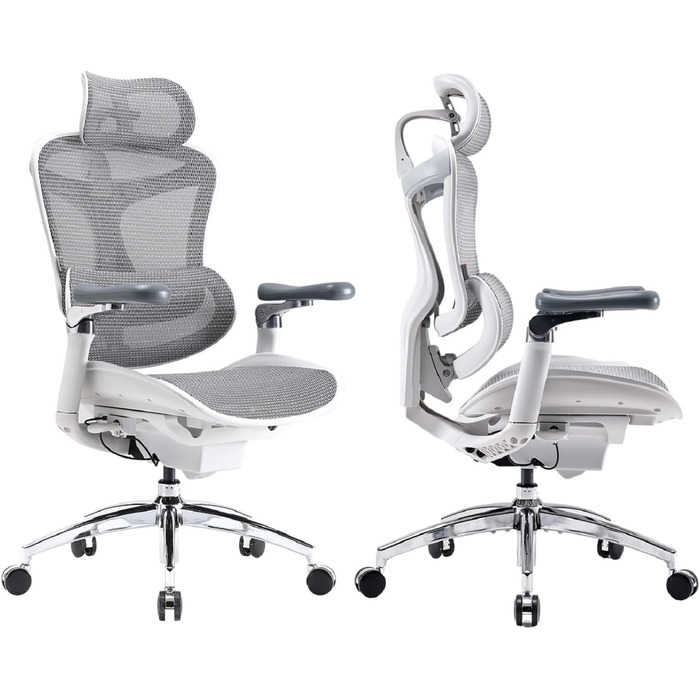 SIHOO Doro C300 Pro Ergonomic Office Chair with ultra-soft 6D armrests, dynamic lumbar support, seat depth adjustment, and adjustable backrest, desk chair for home office (White) White Upgrade Functional