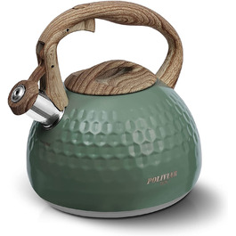 Чайник Poliviar Teekessel Diamant-Grün з нержавіючої сталі, стійкий до корозії та високих температур, підходить для всіх типів плит (JX2020-RH30-DE)