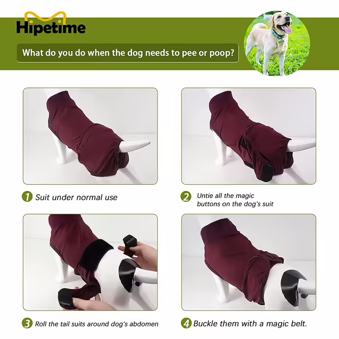 Hipetime XS Red Dog Recovery Suit