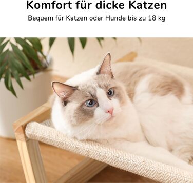 Cat bed and dog bed, elevated, large and breathable, made of high-quality birch plywood, 53W x 42L x 25H cm - ideal for cats and small dogs