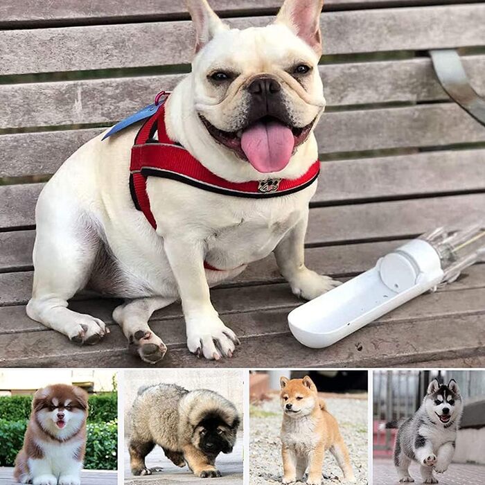 Складана пляшка для води для собак та котів, портативна, для прогулянок, подорожей та активного відпочинку