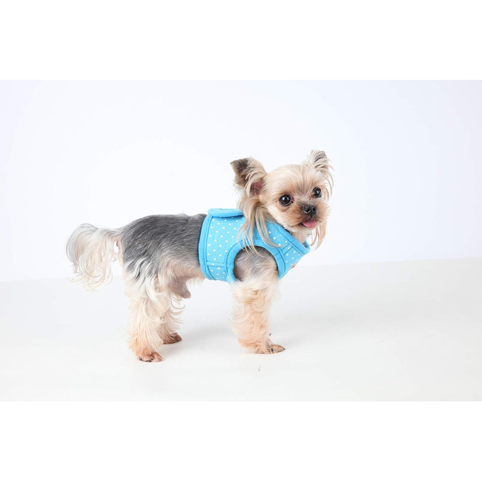 Нашийник для собак Puppia Dotty B небесно-блакитного кольору, середній розмір