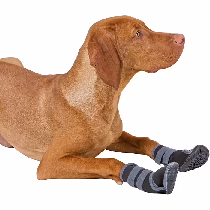 Kerbl Pet 80606 Paw Protection Active, M, gray/black gray/black M