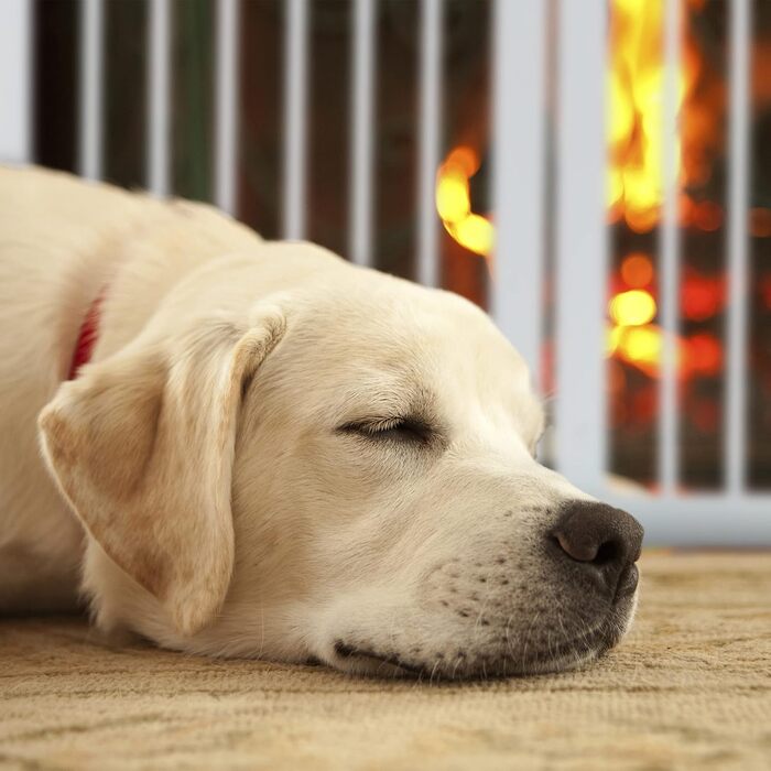 Захисне ворота Relaxdays: розкладне, самостійне, 92 x 205 см, для собак та котів, біле