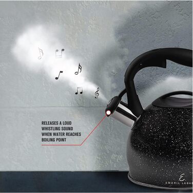 Чайник електричний Emeril Lagasse з нержавіючої сталі, 3 л, для індукційних плит, з ергономічною ручкою, чорний