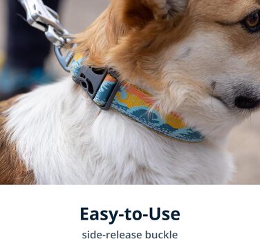 Нашийник для собак RUFFWEAR Crag, середній, 36-51 см, з алюмінієвим кільцем V, регульований, м'який, преміум-якість, для собак з можливістю підключення повідка