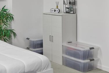 Iris Ohyama Storage Boxes with Lid, 60L, 4-Piece Set, Silver, Secure Closure, Stackable, Handles, for Bedroom, Closet, Office, Organization, BPA-Free Plastic, Storage Boxes, NTB-60 (Silver, 30L/4-Piece Set)