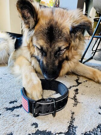 Нашийник для собак K9, тактичний, військового стилю, 5.1 см, міцний нейлон, для великих собак, прапор США (50.8 - 71.1 см, чорний)