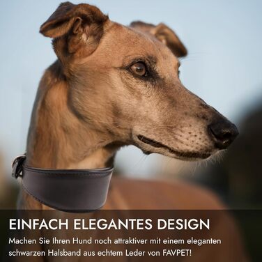 Стильне шкіряне нашийник для породистих собак (Вінтерхаунд, Віпет, Салукі) з QR-кодом, розмір M