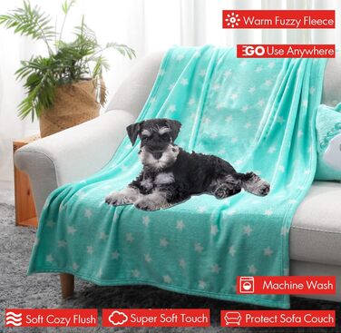 М'яка ковдра для собак та котів LeerKing: двошарова флісова ковдра 100 x 150 см (світло-сірий + зелений)