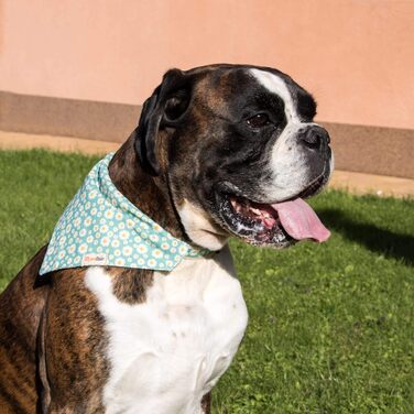 Pettsie Dog Collar with Bandana Cloth and Friendship Bracelet, Adjustable Sizes S, M, and L, Strong and Durable, Great Gift for Dog Lovers in Attractive Packaging, M, Pink (S (25.4 - 39.4 cm), Green)