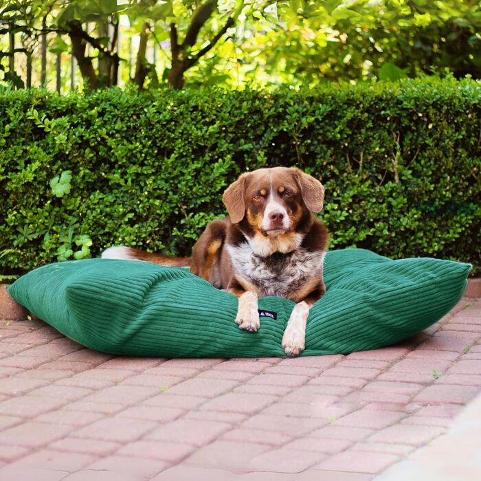 4L Textil ZOE - Лежанка для собак, м'яка, з блискавкою, 80x60 см, бежева (смужки)