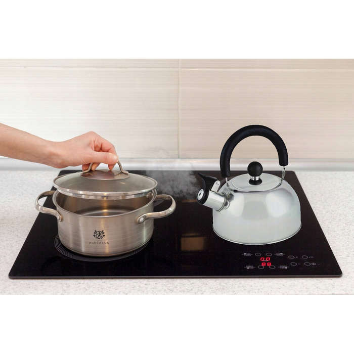 Класичний сталевий чайник Karl Hausmann, 1,5 л, сірий