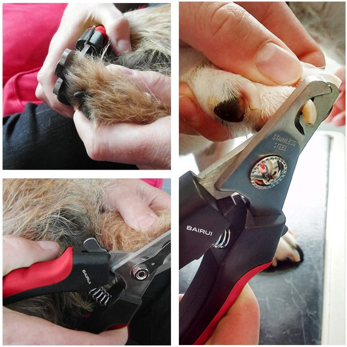 Професійний кусачки для нігтів собак та котів з пилочкою (червоний)