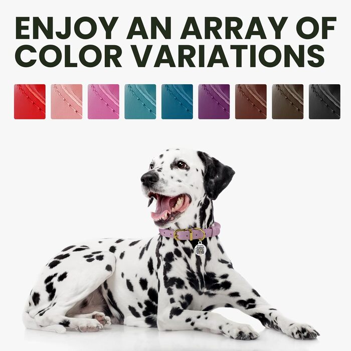 Нашийник для собак BRONZEDOG з шкіри, з QR-ID міткою, шоколадно-коричневий, розмір M (35-41 см)