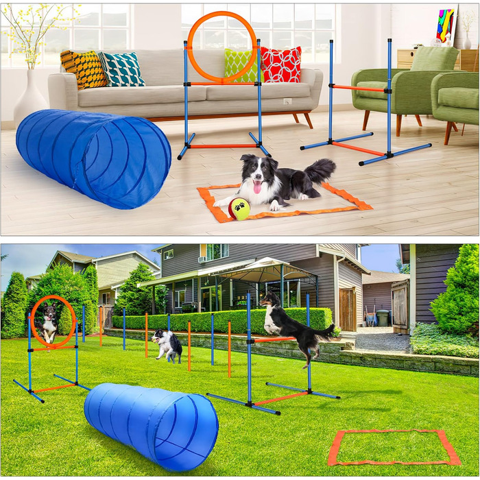 Набір для аджиліті для собак, 65 предметів: тунель, перешкоди, фігури для слалому, кільце для стрибків, м'ячики, переносна коробка, сумка для ласощів, сумка для перенесення