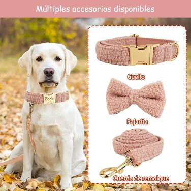 Нашийник для собак з металевою застібкою, двосторонній з іменем та номером телефону, регульований розмір, M та L (Нашийник 06)