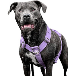 колір: фіолетовий