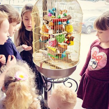 Іграшка для папуги з дерева, багатобарвна, для жування – підходить для африканських сірих папуг, ара, какаду та амазонських папуг, помаранчева