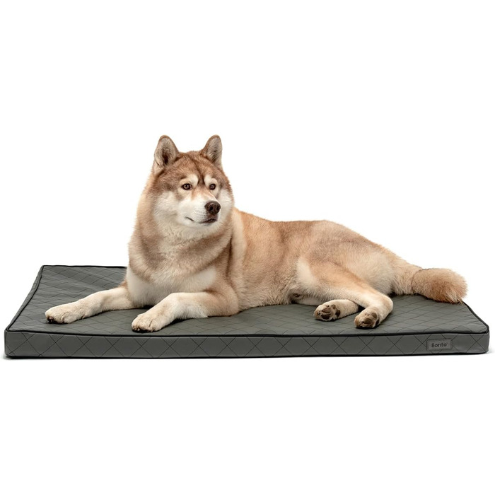 Ортопедичний килимок для собак Lionto з Memory Foam, 80x55 см, знімний чохол та антиковзаюче покриття