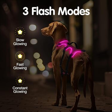 Світловідбиваючий нашийник для собак Jewyow з LED, перезаряджуваний, м'який, регульований, водонепроникний, для середніх та великих собак, зелений (рожевий, M)