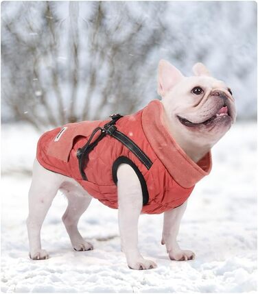 Dog Coat, Dog Jackets with Harness, Winter Warm Jacket Windproof Pet Clothing with Pocket Design Snowsuit Dog Jackets for Small Medium Dogs (Red, M)