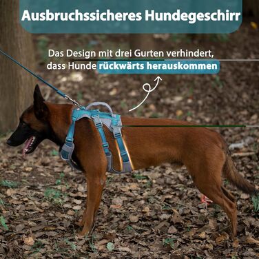 Шлейка безпеки Huntboo для собак, антизламна, від паніки, з ручкою, регульована, для малих, середніх та великих собак (M), блакитно-зелений (1 шт.)