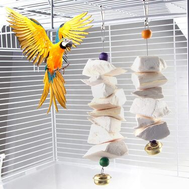 Parrot bones, fragile molars, chewing toys, grinding birds, beak and calcium, bone supplements, parrots, cockatiels